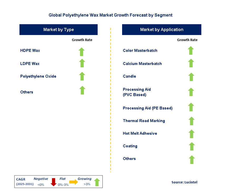 Polyethylene Wax Market by Segment